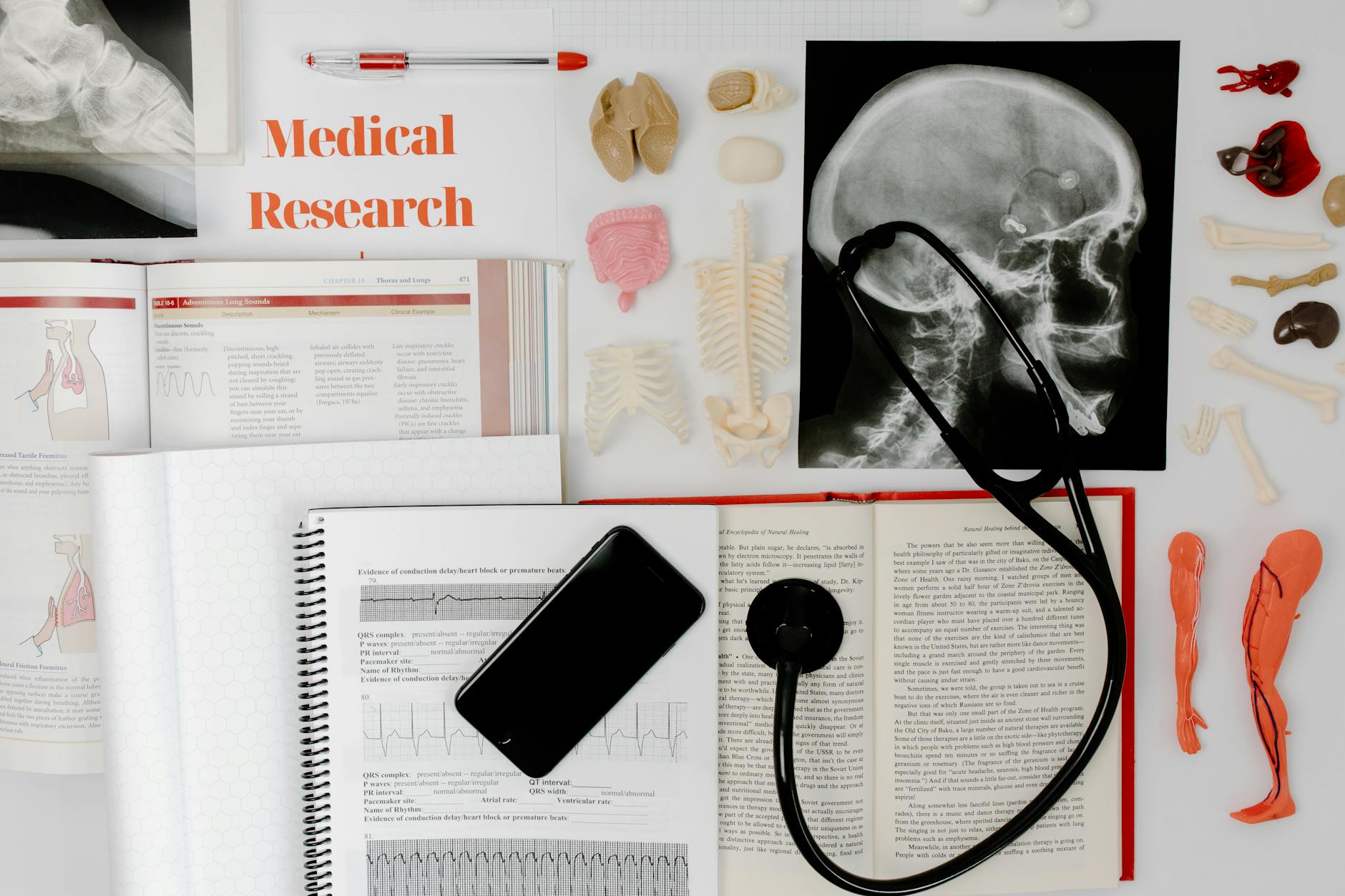 Consultant cardiac electrophysiologist reviewing heart rhythm studies