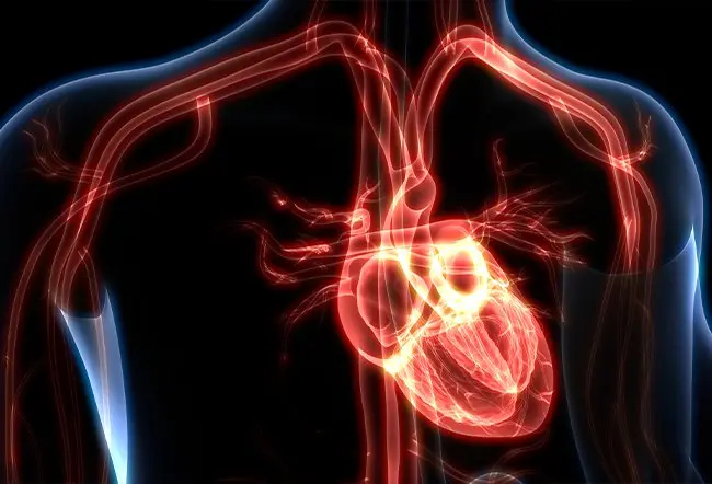 Cardiologist reviewing 12-lead ECG showing ventricular tachycardia